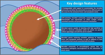 Engineering a microbiosphere to clean up the ocean – inspiration from the plastisphere